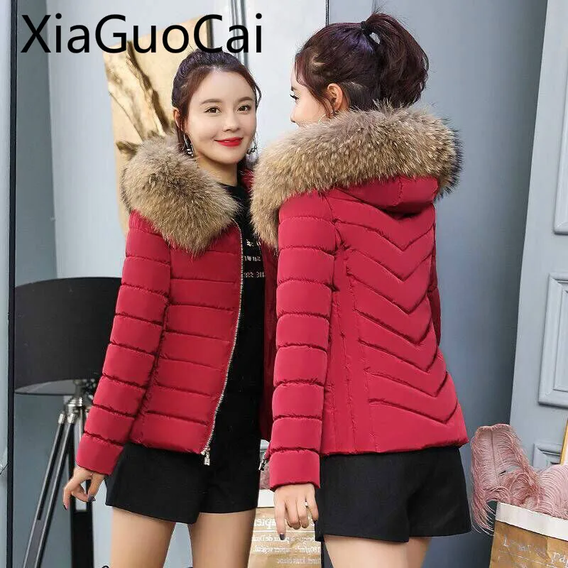 Kopen Hoge Kwaliteit Vrouwen Winter Jassen Nieuwe Beneden Katoenen vrouwen Jassen Korte Grote Haar Kraag Slim Grote Maat Katoen Jassen