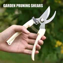 Jardim em vasos de tesouras de poda de aço inoxidável tesouras de poda ferramentas profissional manual arbusto cortadores jardim tesouras ferramentas