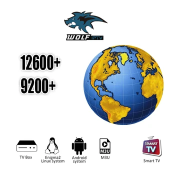 

World IPTV android tv box support iptv with m3u enigma2 PC linux smart tv no app included