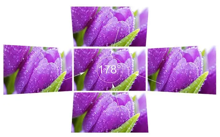 P215-9HSD 21.5" IPS 3G-SDI HD Broadcast Monitor Full HD 1920x1080 Desktop LCD Mo