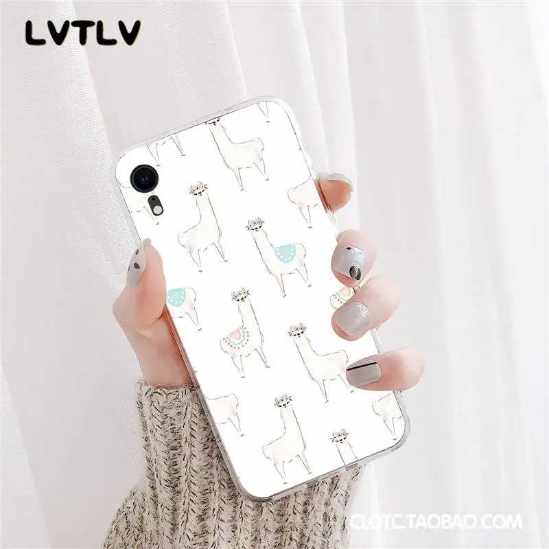 Lama Llama Alpacas Animal