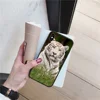 Mobile Phone Accessories