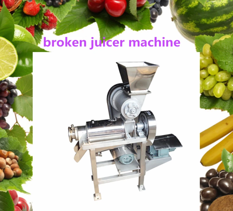 Бесплатная доставка по морю промышленная 0,5 т/ч Brokenfruit и соковыжималка для овощей