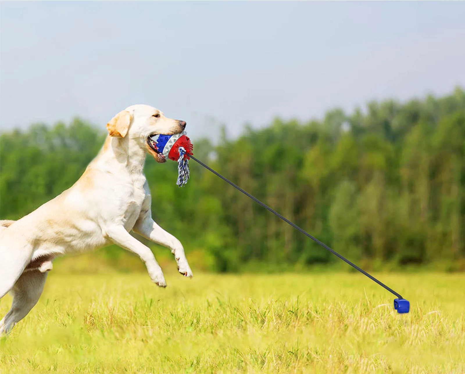 tug toy