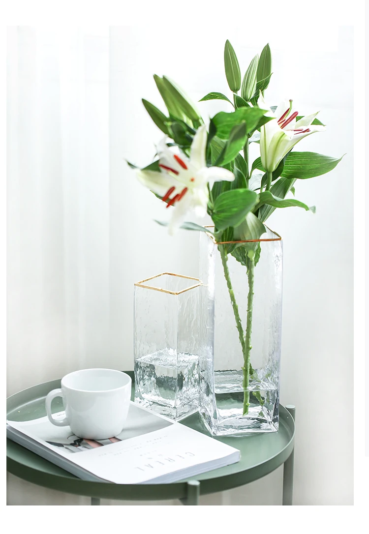 INS стеклянная ваза, маленькие прозрачные вазы в скандинавском стиле, простая Хрустальная ваза для террариума, аксессуары для украшения дома, стеклянная ваза для цветов