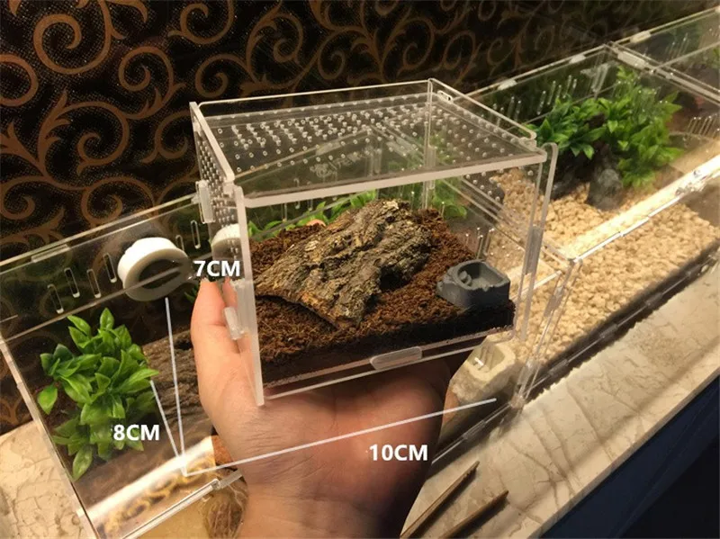 Reptile breeding box (8)