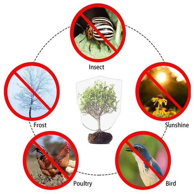 Kerti Hibák Gáthálónövekedésű Növény Burkolat Húzózsinórral Ellátott Madárgátháló Hálóháló Fa Burkolatok Növényi Gyümölcsök Virágzöld Zöldségfélék - Image 3