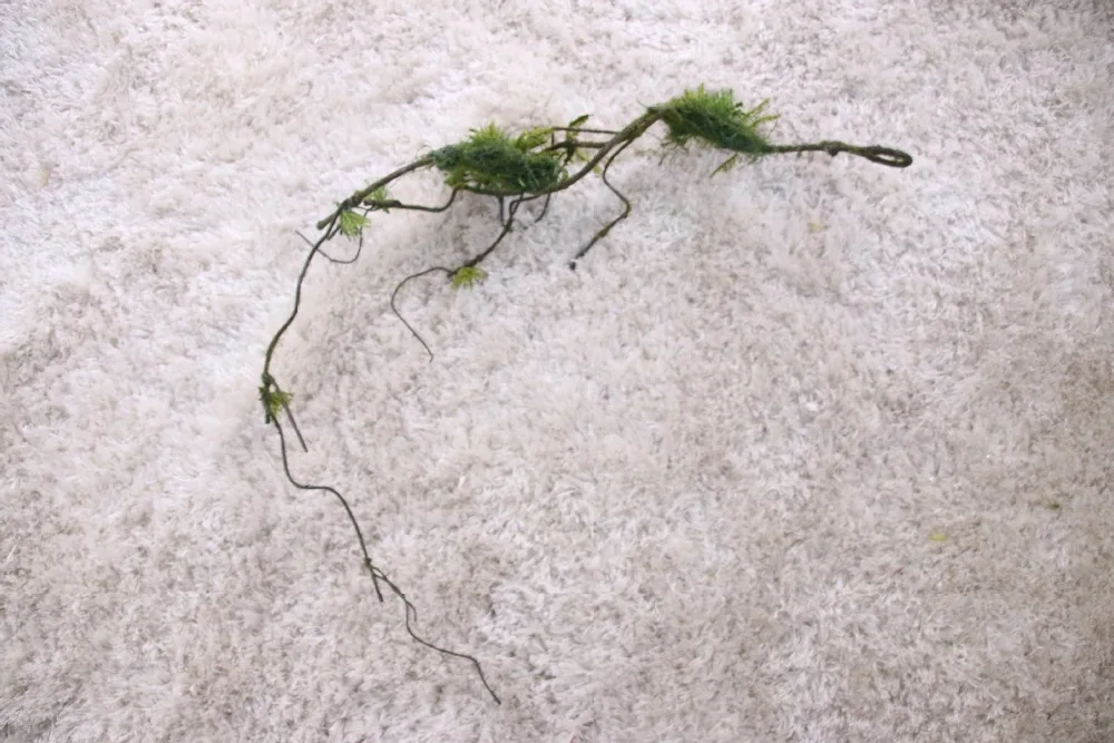 6200810497_1358735368