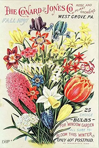 

Vintage Farm Plant and Seed Guide Vegetable Retro Metal Tin Sign 8x12 Inch Home Wall Decoration Sign