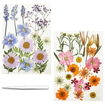 

42PCS Dried Pressed Flowers Combination Combination with Tweezers for DIY Phone Case Resin Jewelry Crafts Nail Stickers