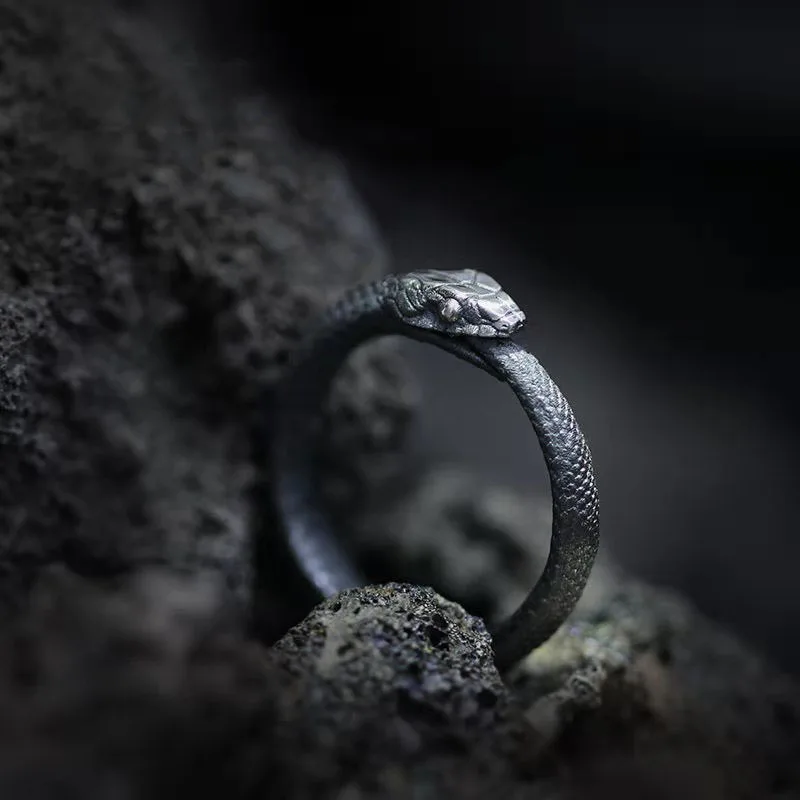 Anello Da Uomo Vintage Ouroboros Apertura Regolabile Personalizzato Rider Animal Snake Ring Viking Fashion Jewelry