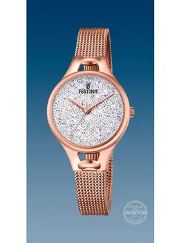 

FESTINA F20333/1