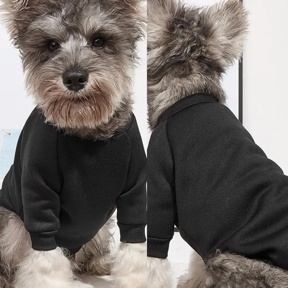 Black Stylish Dog Warm Knitwear Coat Thinking Puppy Sweater Close-fitting for Autumn |