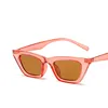 2022 Fashion Sunglasses for Women Retro Small Frame Cat's Eye Sun Glasses  New Eyeglasses Sunglasses ► Photo 3/6