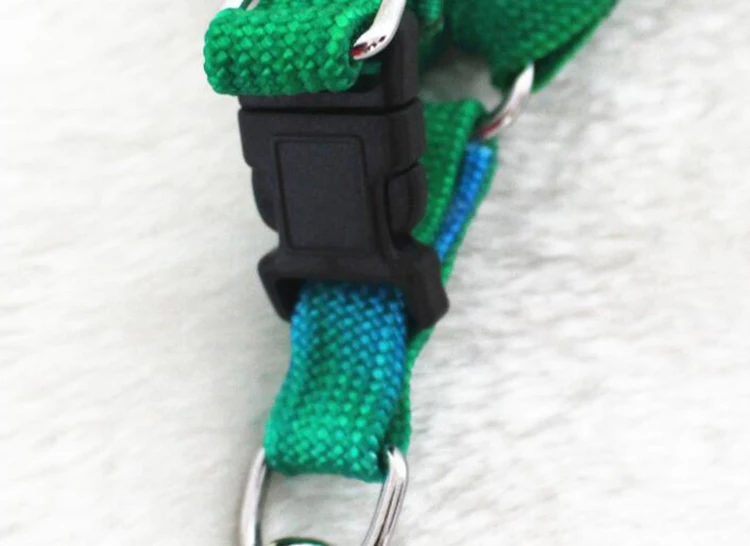 4128529591_1474041420