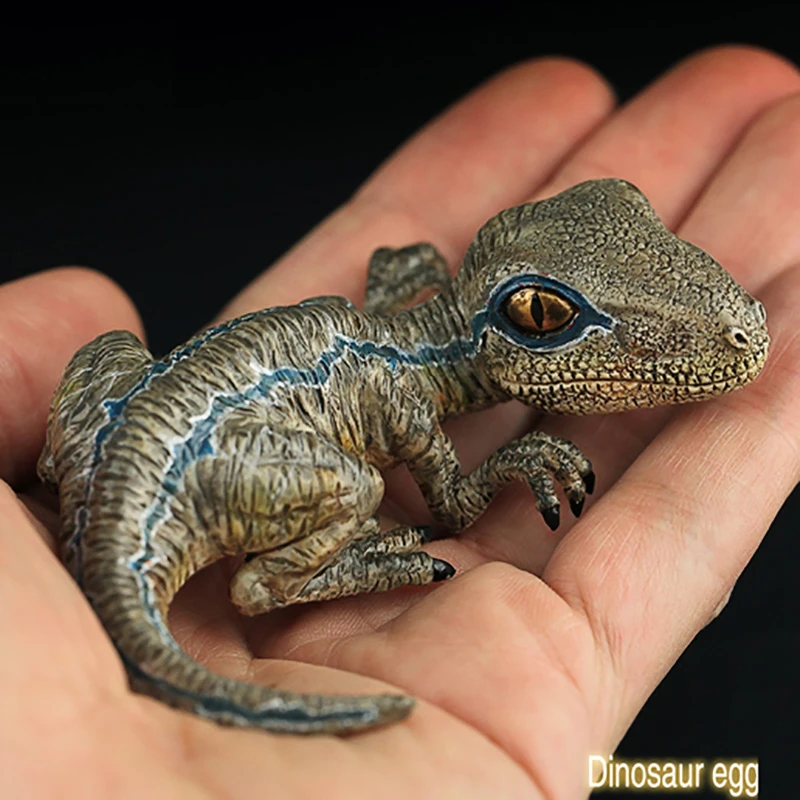 Edage Jurassic Dinosaurs Baby Velociraptor Blue Model Ornament 1 35 Action Figures Aliexpress