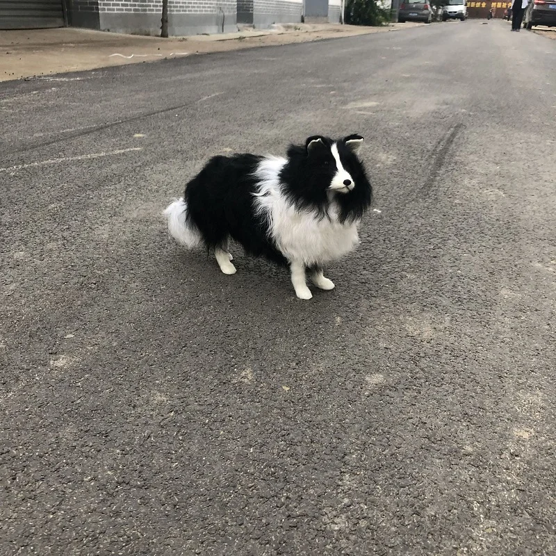 11806159639_1713678189