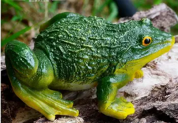 

frog furnishing articles Resin crafts gardening Potted ornament: bonsai Toad critter helmet ornament Handicrafts household