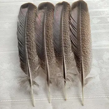 

Wholesale Beautiful 50/100pcs Rare Natural Turkey Feathers 10-12 inch/25-30 cm DIY Jewelry Craft Making Home Decoration
