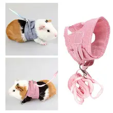 guinea pig leash walmart