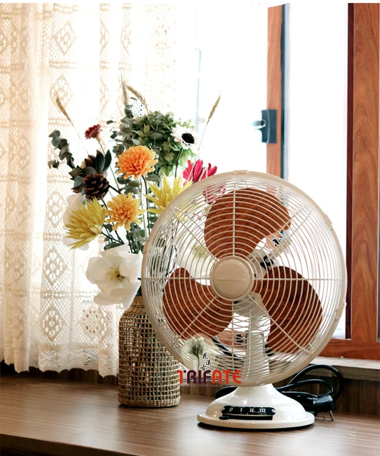 220v Commercial Double-headed 360 ° Rotating Swing Head Floor Fan Desk  Indoor Remote Control Standing Small Fans for Home Stand - AliExpress