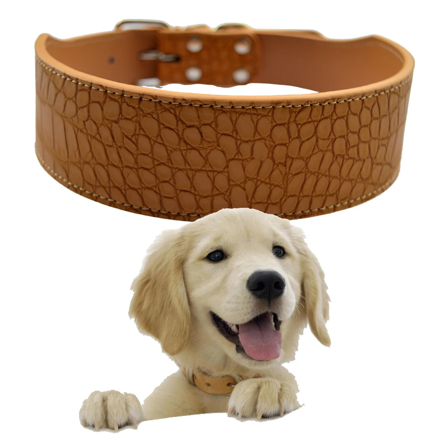 medium dog collar size in inches