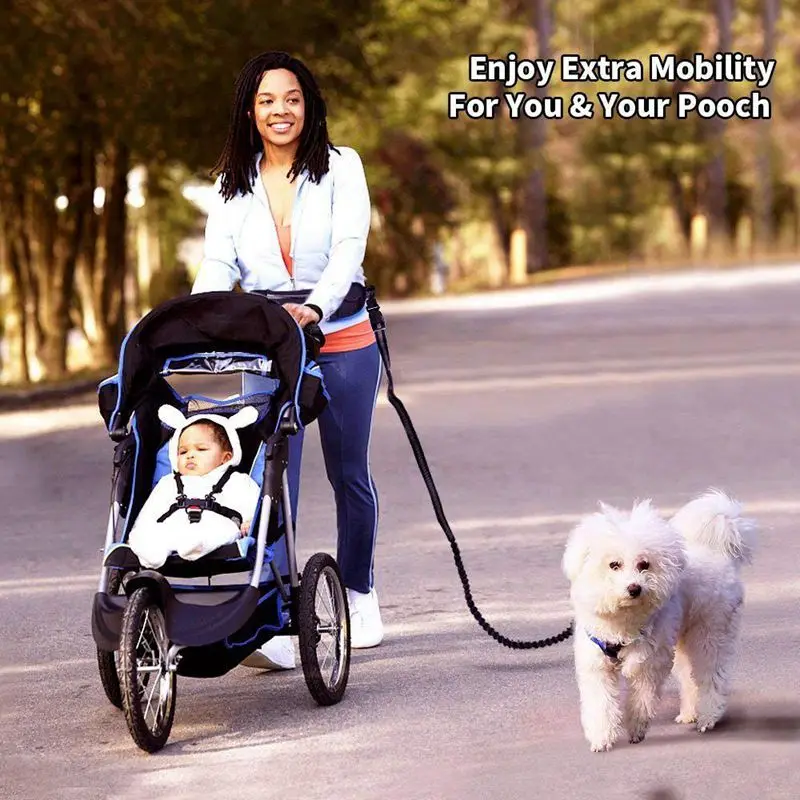 Hands Free Dog Running Leash with Waist Pocket Adjustable Belt Shock Absorbing Bungee Fits up to 45 inch Waist