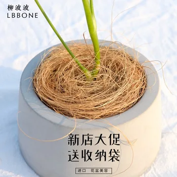

Coconut Palm Silk Potted Plant Decoration Pavement Grass Yam Horticulture Yeah Silk Flowerpot Cover Sun-resistant Plant Coconut