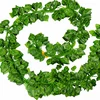 Artificial Vine Lizards Reptile Terrarium Decoration Chameleons Climb Rest Plants Leaves Length 220cm 2