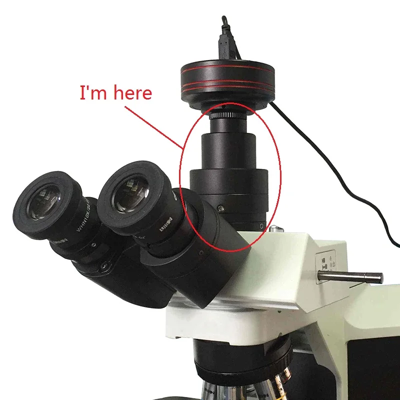microscopios 03