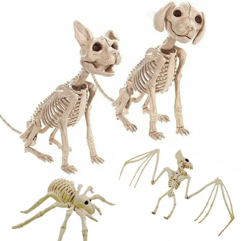 

Halloween Skeleton Cat Dog Mouse Prop Bat Bones Party Shop Decora Horror New Halloween Decation Friend Gift Festival Supplies