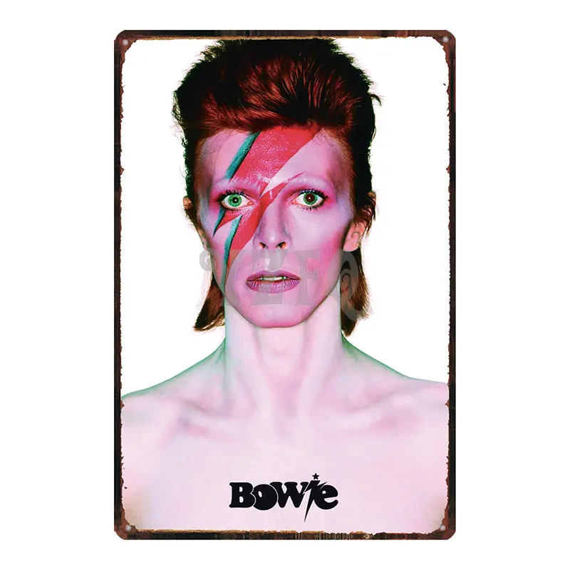 Bowie Star Оловянная табличка металлическая винтажная настенная для музыкального бара магазин домашний декор для отеля куадро Наклейка на стену 30X20 см DU-3419B - Цвет: DU-3433