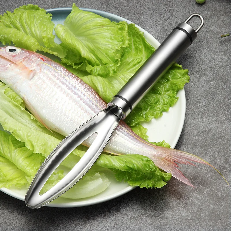 

Factory Cooking Tools Fish Cleaning Knife Skinner Fish Skin Scraper Stainless Steel Fish Scales Fishing Cleaning Remover
