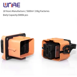 MSD Mini Manual Maintenance Switch Protection Switch 80A/100A/125A/300A For New Energy Electric Vehicles