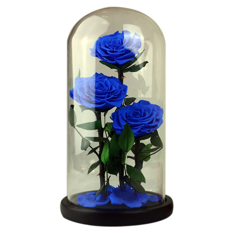 Вечные цветы сушеные цветы сохраненные свежие цветы живая Роза стеклянный купол подарочная коробка синий