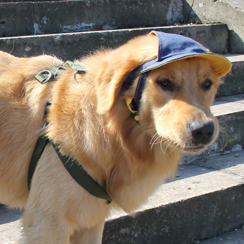 Denim Dog Sport Cap Baseball Cap Bucket Hat Sun Bonnet Visor Hat with Chin Strap, Cowboy Style