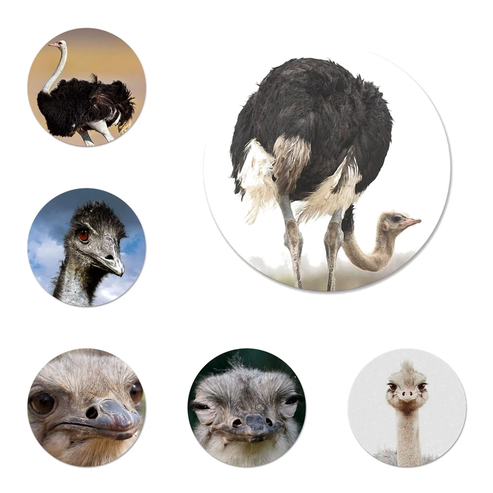 かわいいダチョウ鳥動物台所家の装飾冷蔵庫マグネットボトルオープナービールコークス オープナー Aliexpress