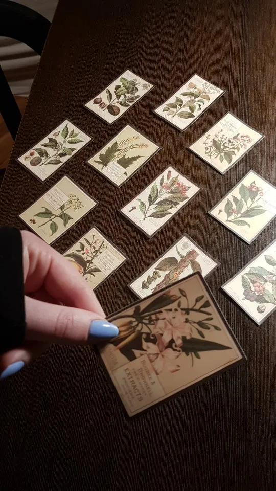 Ubaaaa9b6a5594a918b99df9f5687d19dl