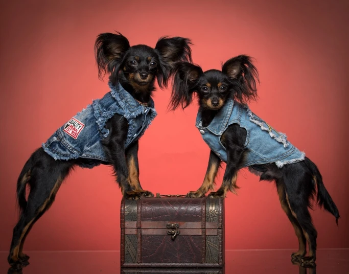 U3f62f544a3ed4d7bbb64cde08bbdf759o