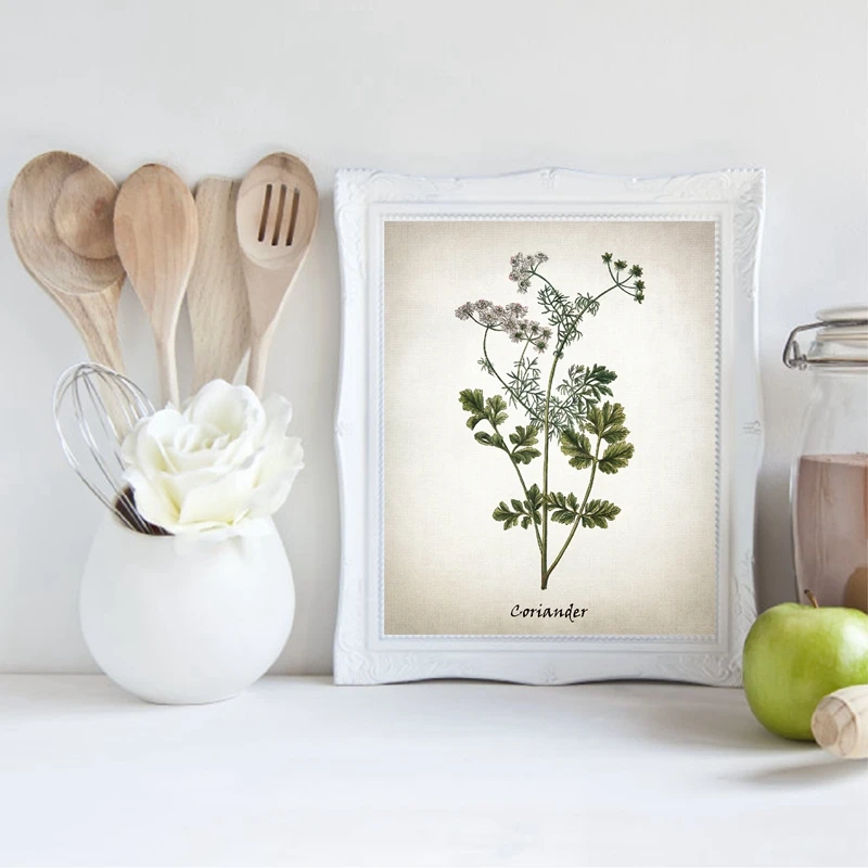 Herb-Canvas-Art-Painting-Vintage-Herbal-Illustrations-Posters-and-Prints-Culinary-Herbs-Botanical-Kitchen-Wall-Art (3)