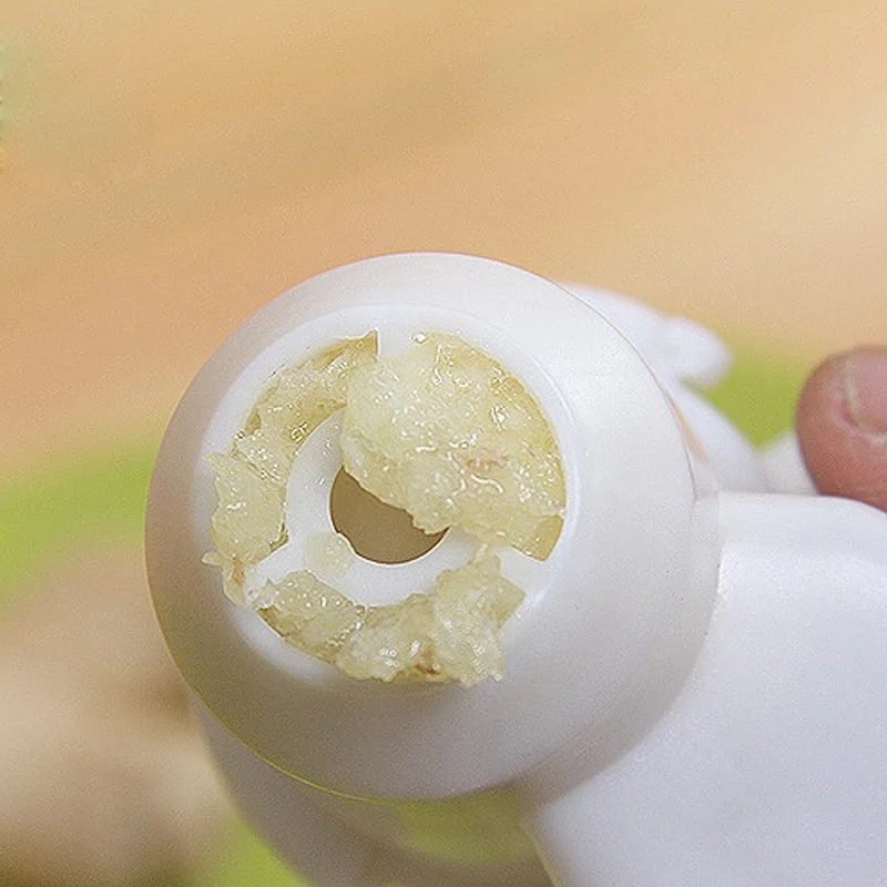 HTB1iOFoXdjvK1RjSspiq6AEqXXao