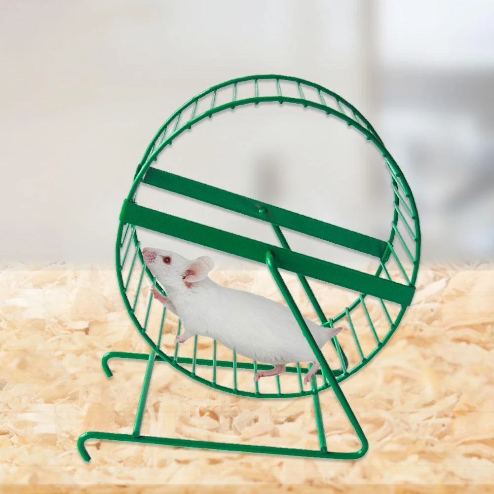 hamster treadmill