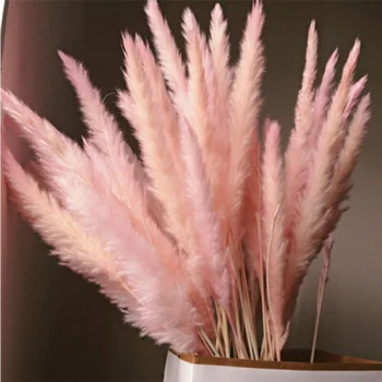 

15Pcs Natural Dried Small Pampas Grass Phragmites Home Christmas decoration diy dried flower bouquet Flower arrangement