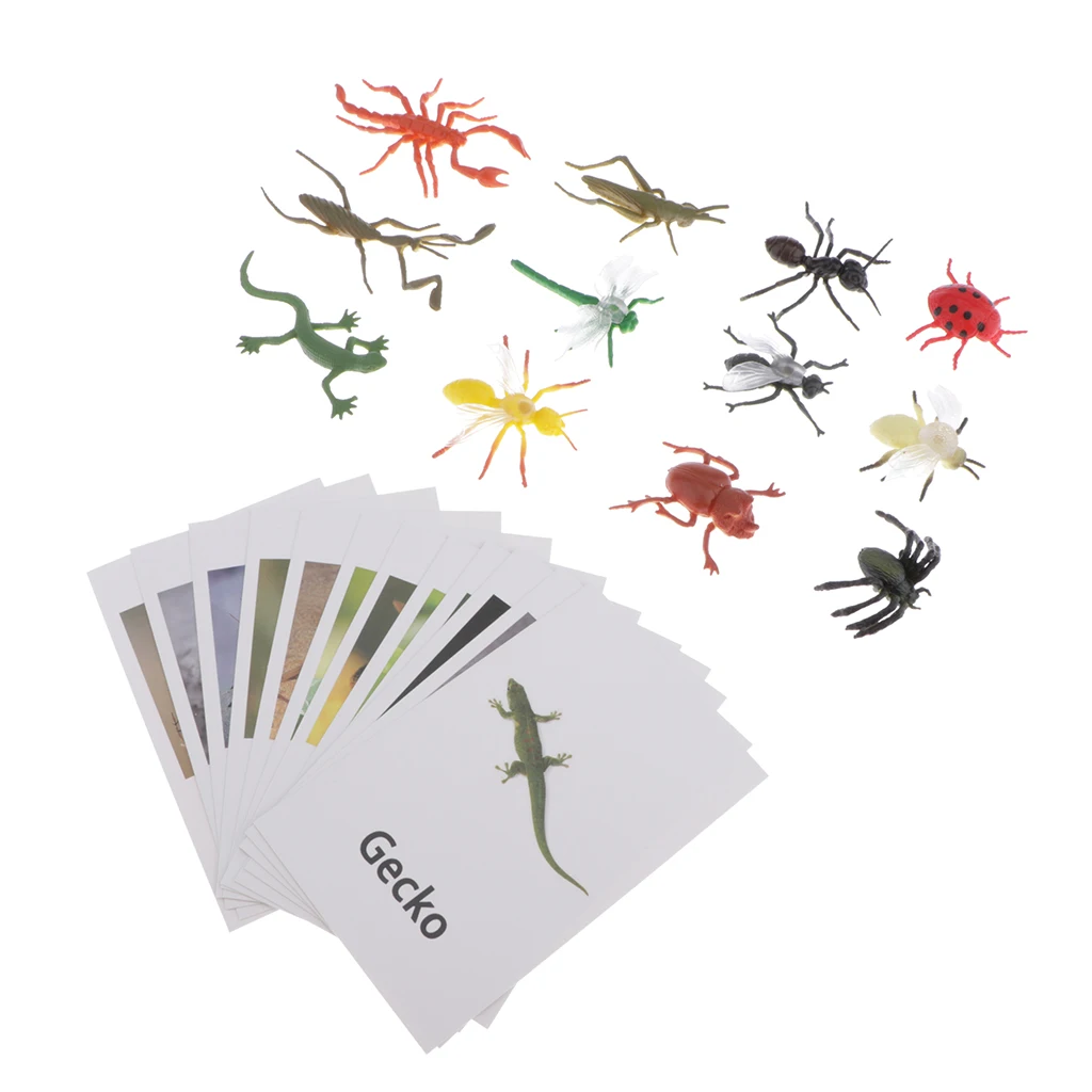 Montessori Insect Animal Match - Miniature Insects Figurines (12pcs) with Matching Cards (12pcs) - 2 Montessori Learning Toy