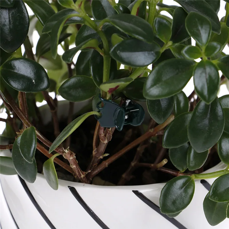 100Pcs-Bag-Garden-Plant-Support-Clips-Flower-Orchid-Stem-Clips-for-Vine-Support.jpg 100Db/Táska Kerti Növényi Tartó Klipek Virág Orchidea Szár A Szőlő Támogatásához - Image 4