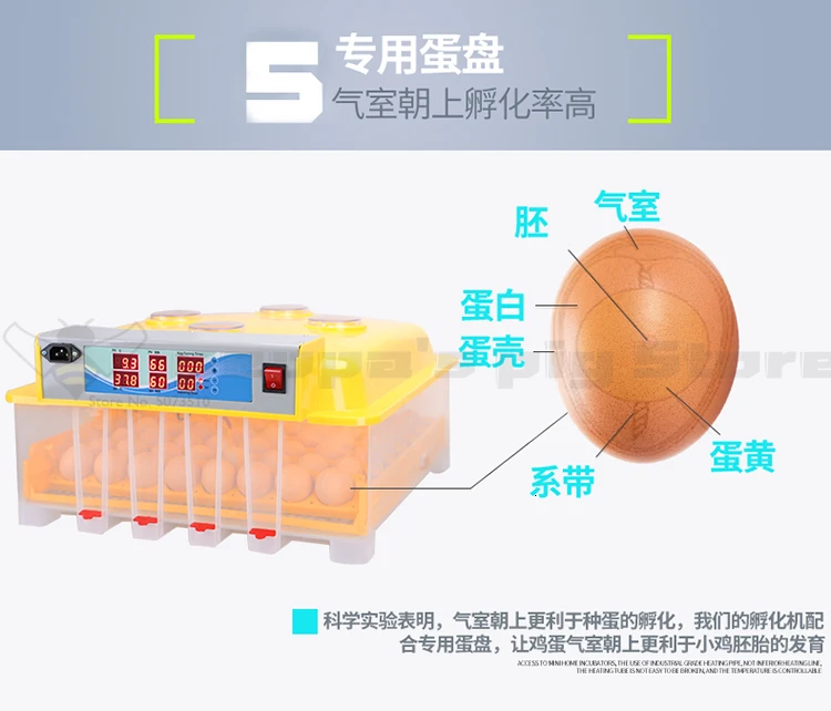 

Automatic Egg Incubator Chicken Duck Birds Brooder One button Incubation Automatic Water bed Temperature Control Incubadora