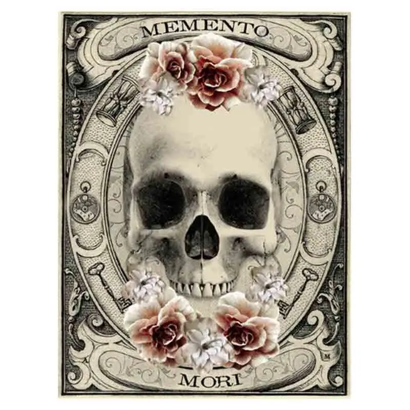 HTB11U7kaUvrK1RjSspcq6zzSXXaV