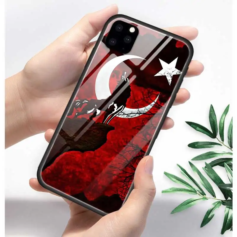 T11 Турция турецкий чехол с флагом для Apple iphone 11 Pro XR XS Max X 7 8 6 6S Plus закаленное стекло+ черный силиконовый чехол для телефона Coque Sac - Цвет: T11
