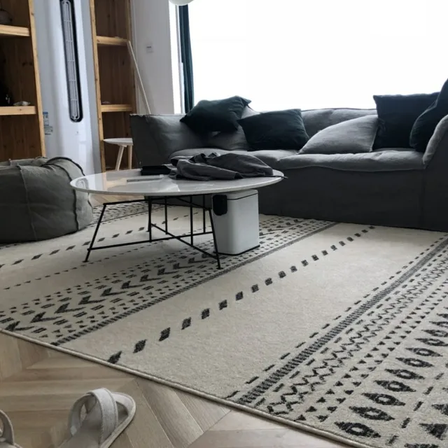 Nordic Luxurious Carpet Ins Modern Living Room Carpet Home Thick Rug for Bedroom Bedside Blanket Coffee Table Mat Morocco Carpet 6