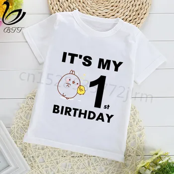 

Birthday Gift Boys T-Shirt Molang and Piupiu Cute Rabbit Print Cotton Kids Clothes Boy Tops Children Clothing Party Tee Shirts